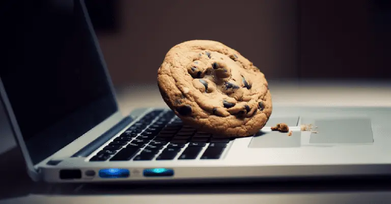 Cookies pihak ketiga akan dihapus Google